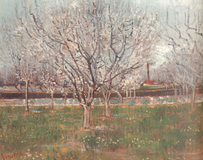 Orchard in Blossom (nn04)